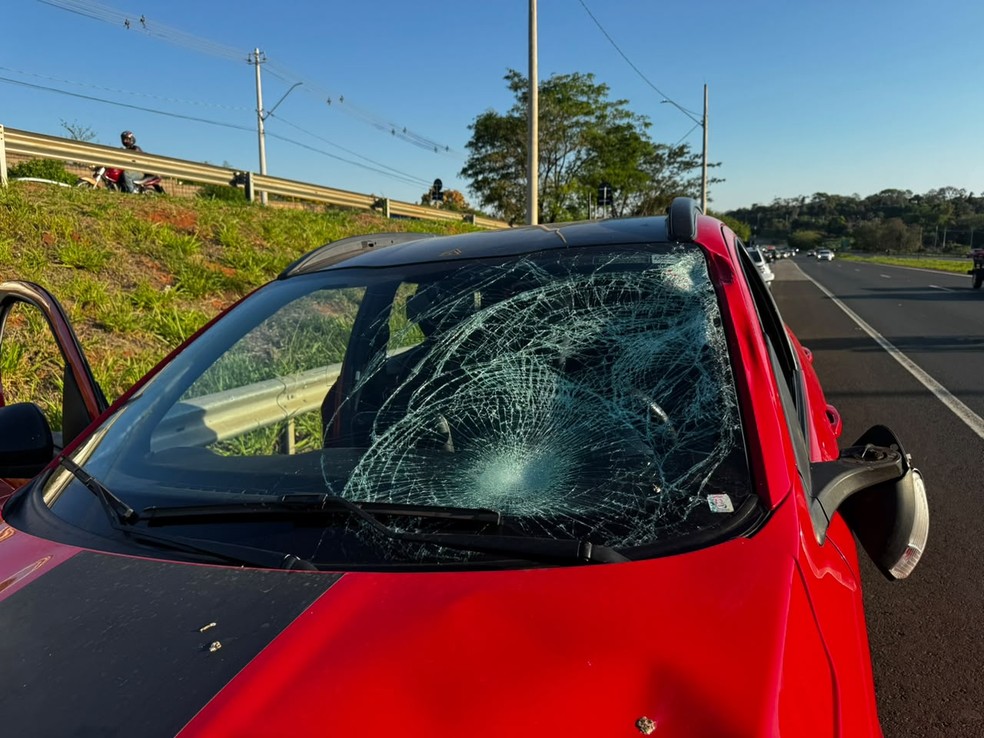 Atropelamento com vítima fatal na BR-153 em São José do Rio Preto (SP) — Foto: TV TEM / Muryel Boian