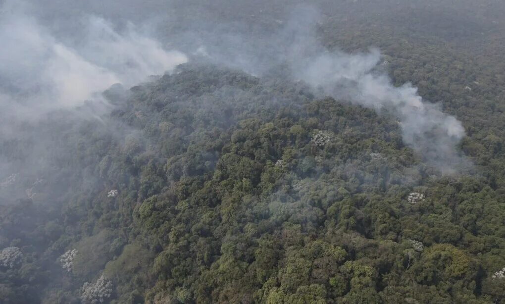 Estado de SP registra em setembro de 2026 o menor número de focos de calor em 28 anos