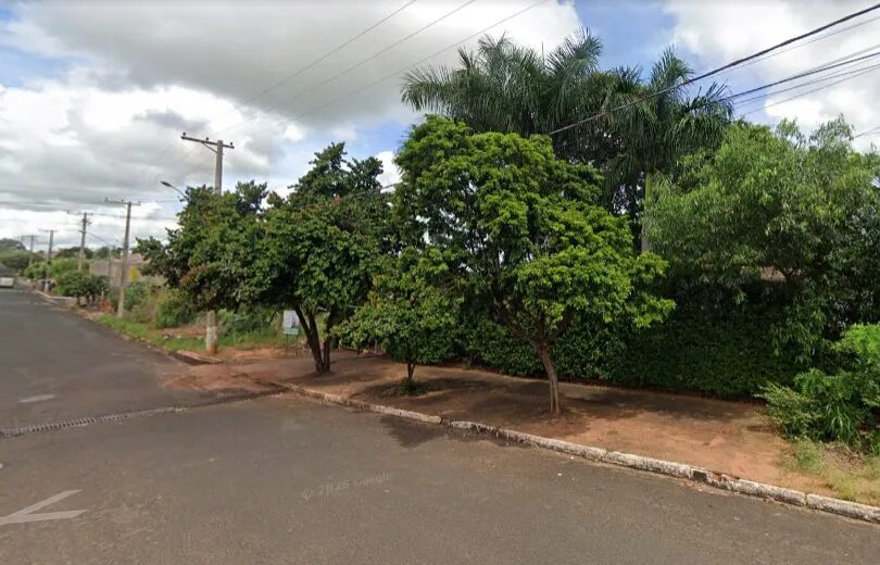 Funcionário do Viveiro Municipal de Ouroeste é internado após ataque de enxame de abelhas durante poda