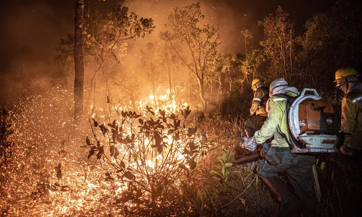 Ibama extingue 229 incêndios no Amazonas e segue no combate ao fogo