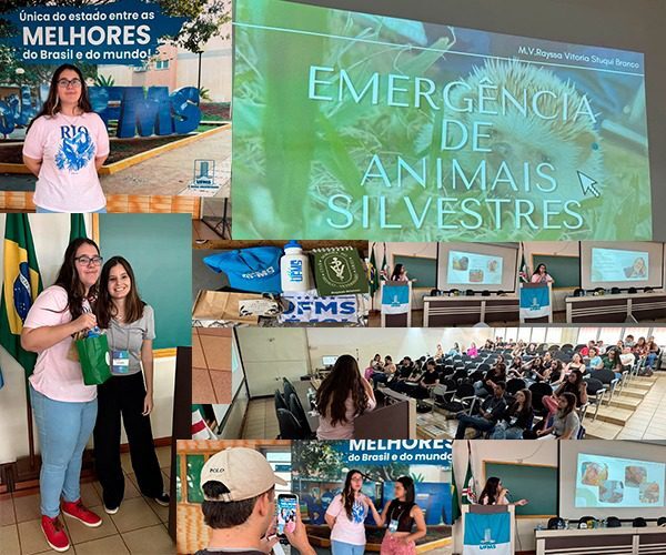 Médica veterinária de Fernandópolis ministra palestra sobre emergências em animais silvestres na UFMS