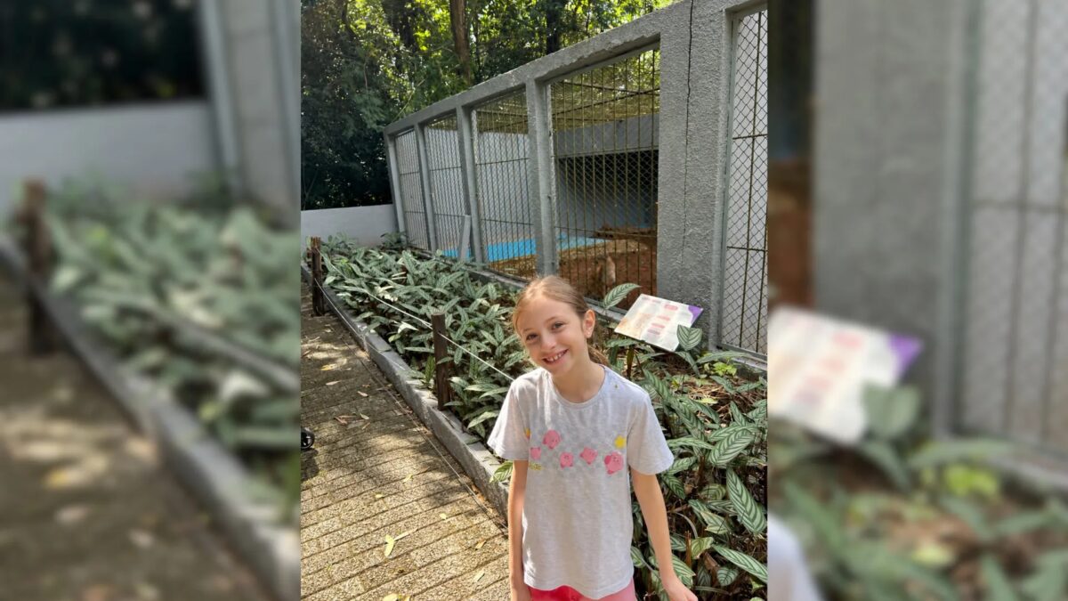 Menina de 8 anos que batizou filhotes de onça-parda como 'Café e Cacau' se inspirou em tradição cafeeira de Garça