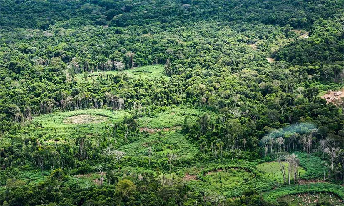 Radar Bioecon mapeia 232 políticas públicas na Pan-Amazônia