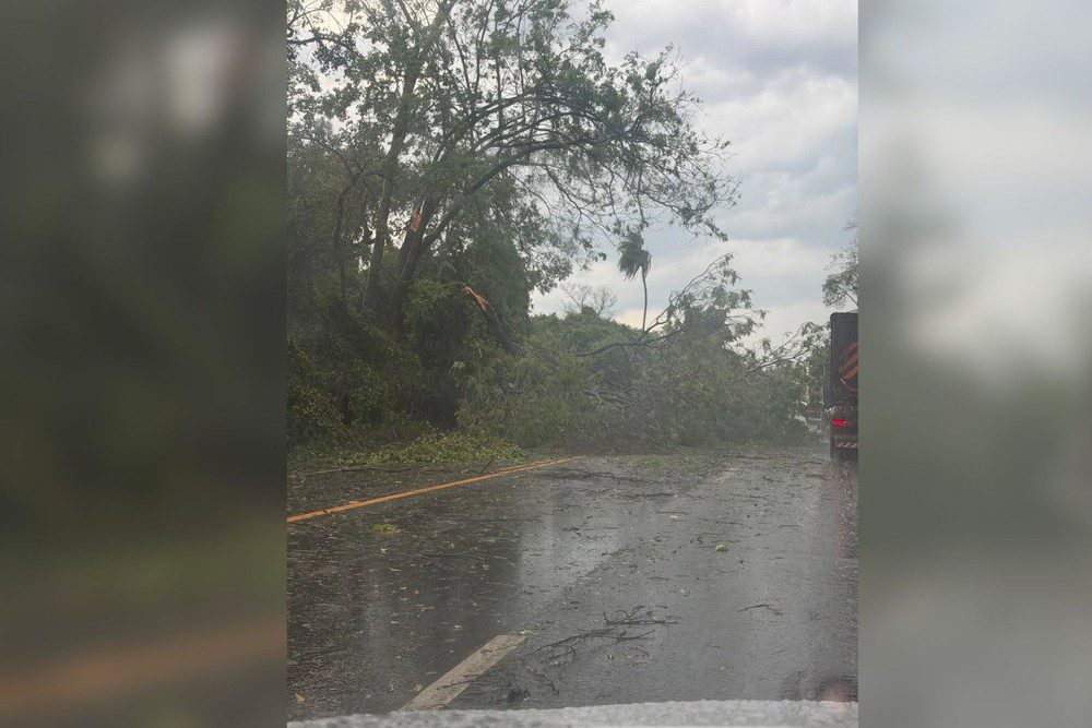 Tempestade com granizo e fortes rajadas de vento provoca estragos em cidades da Região Noroeste